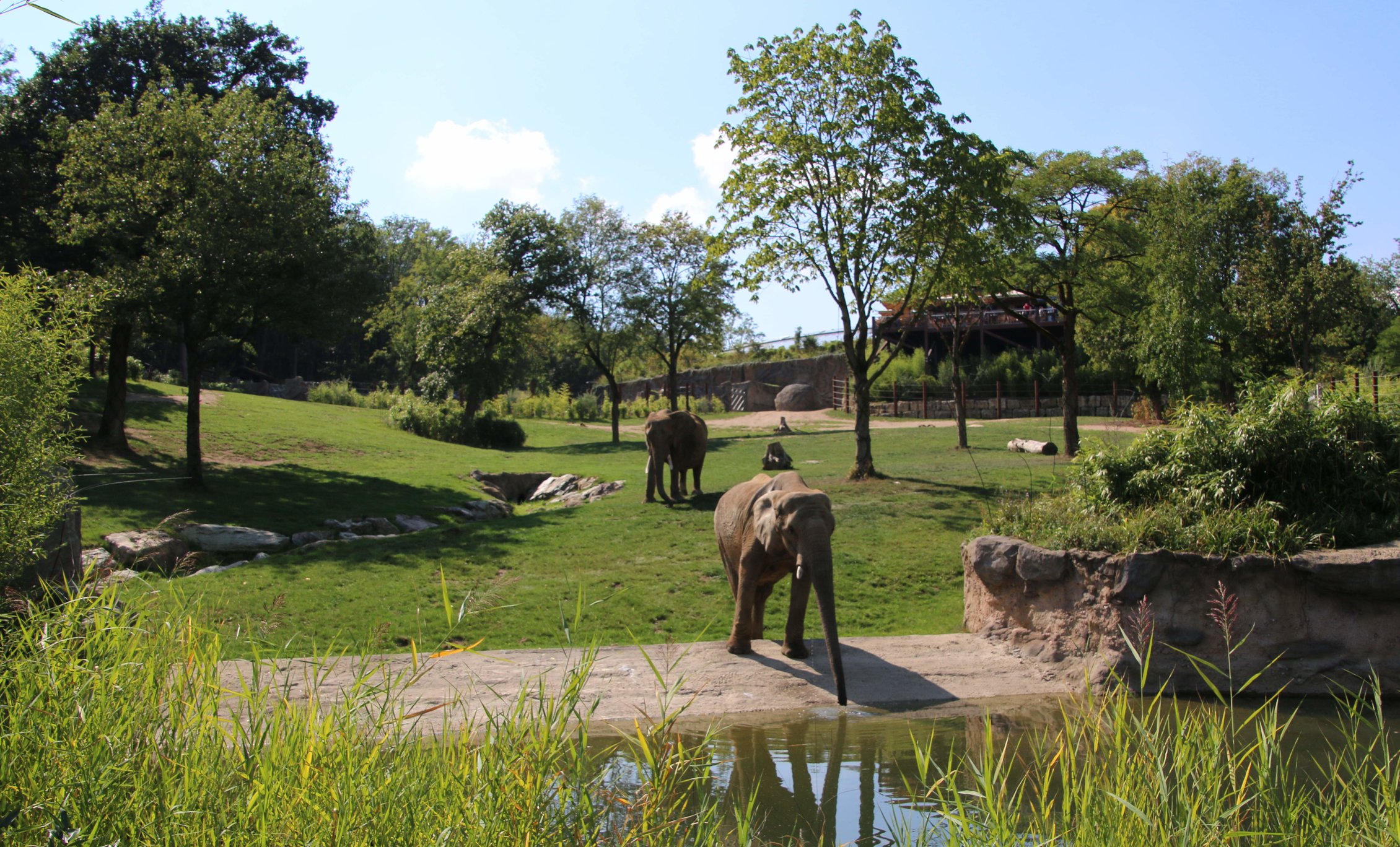 Opel Zoo | Bad Homburg v. d. Höhe